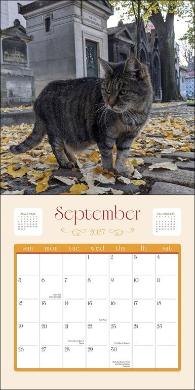 RZZLI Cats in Paris 2027 Wall Calendar