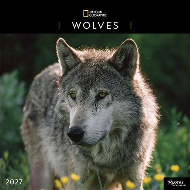 RZZLI National Geographic: Wolves 2027 Wall Calendar