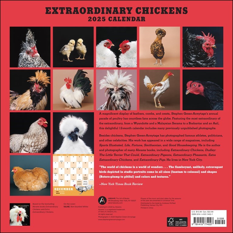 Extraordinary Chickens 2025 Wall Calendar    