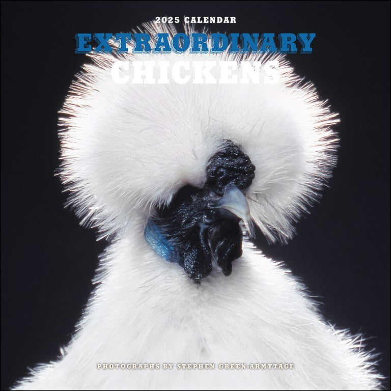 Extraordinary Chickens 2025 Wall Calendar    