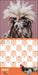 Extraordinary Chickens 2025 Wall Calendar    