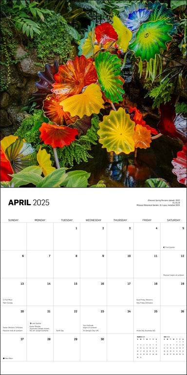 Chihuly 2025 Wall Calendar    