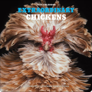 ABRMS Extraordinary Chickens 2027 Wall Calendar