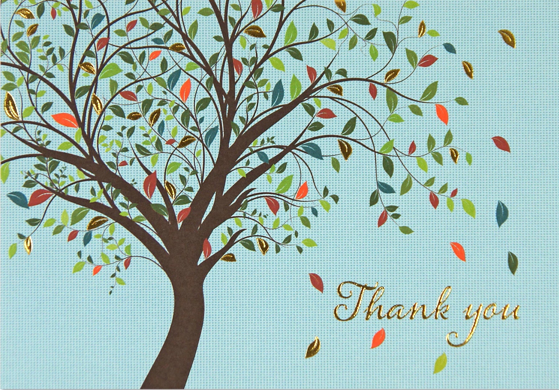 Boxed Thank You Cards - Tree of Life    