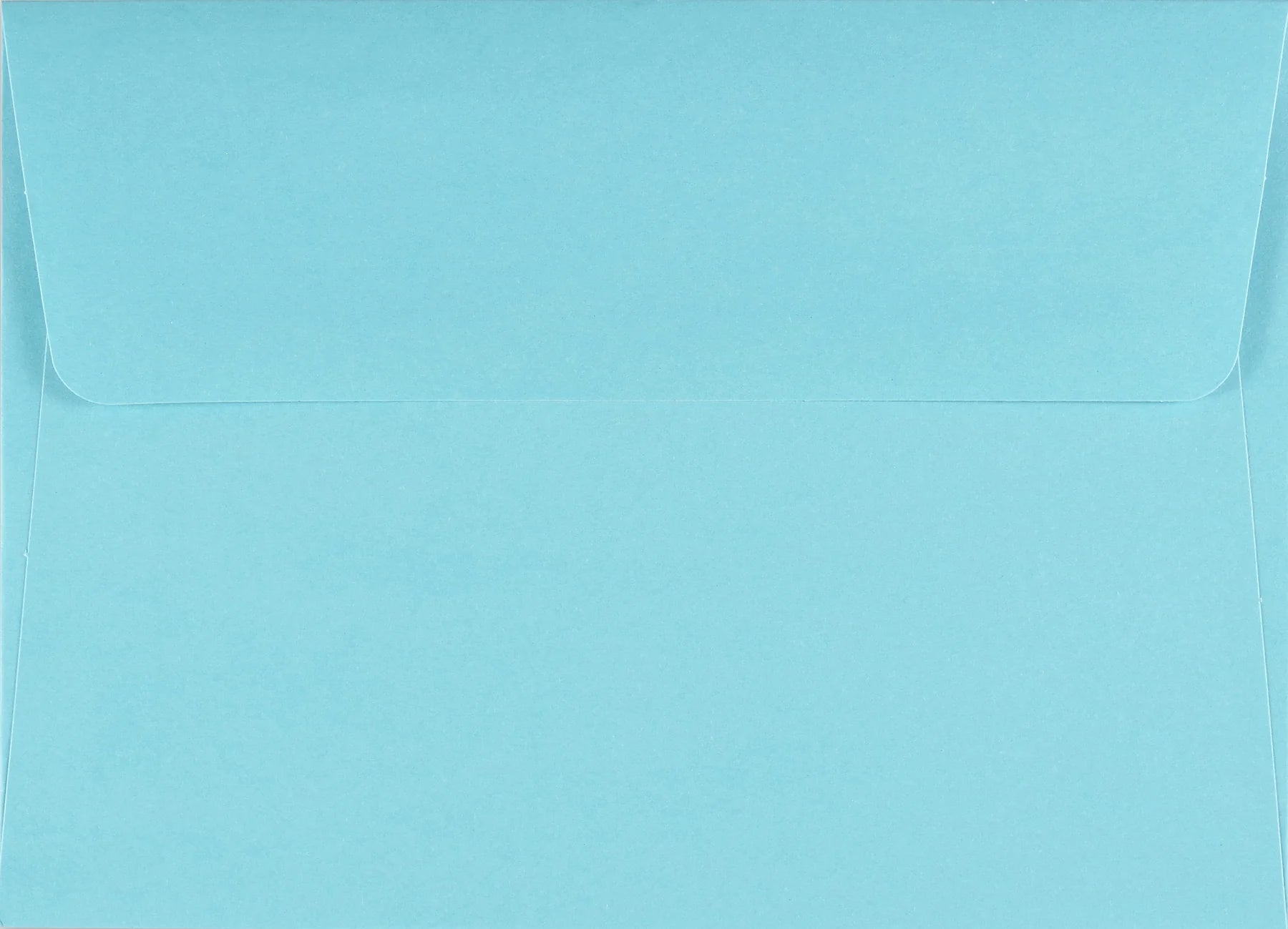 Bird Garden Boxed Note Cards