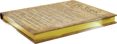 We the People Journal