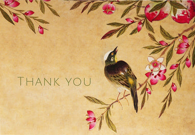 Boxed Thank You Note Cards - Peach Blossoms    