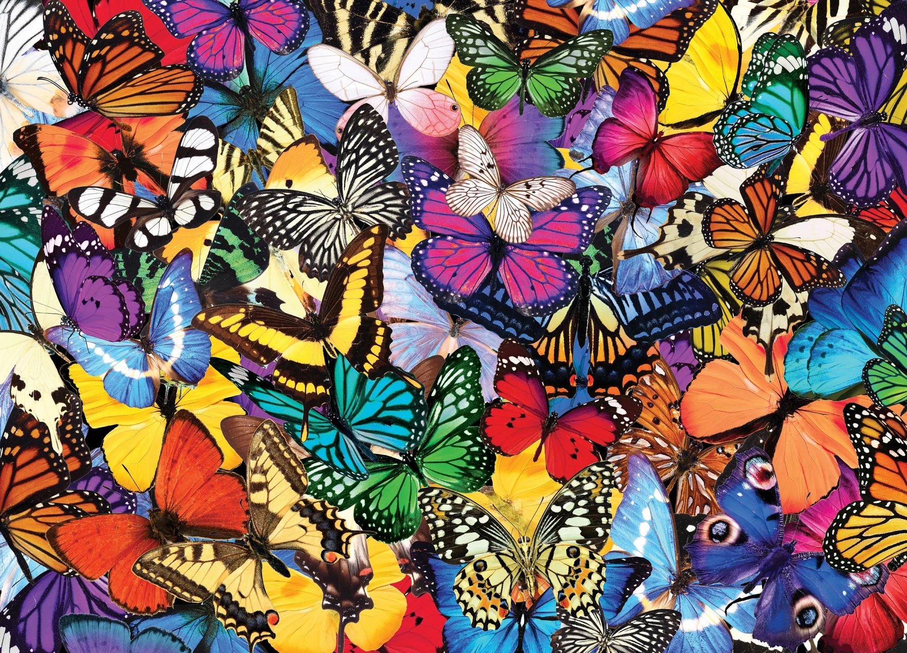 All The Butterflies 500 Piece Puzzle