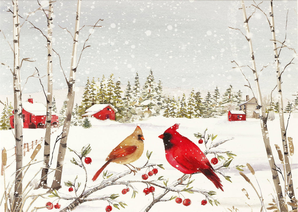 Birds of a Father  “Winter Holiday” Cardinals In Winter Deluxe Boxed Holiday Cards — Bird in Hand