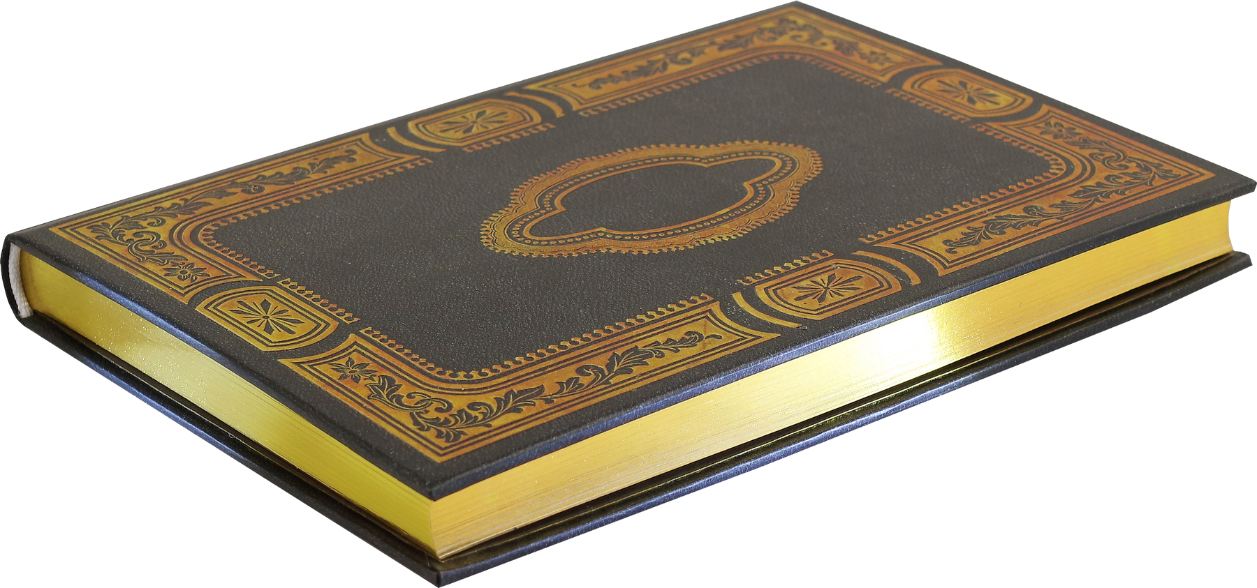 PTR Gilded Onyx Journal