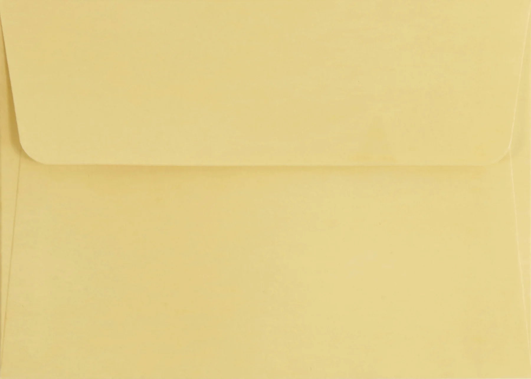 Boxed Note Cards - Autumn Grasses