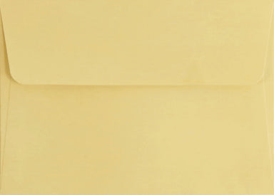 Boxed Note Cards - Autumn Grasses