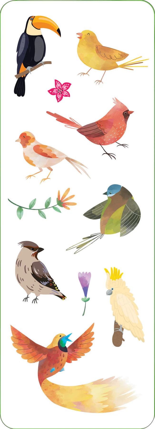 Birds Stickers