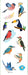 Birds Stickers