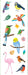 Birds Stickers