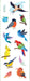 Birds Stickers