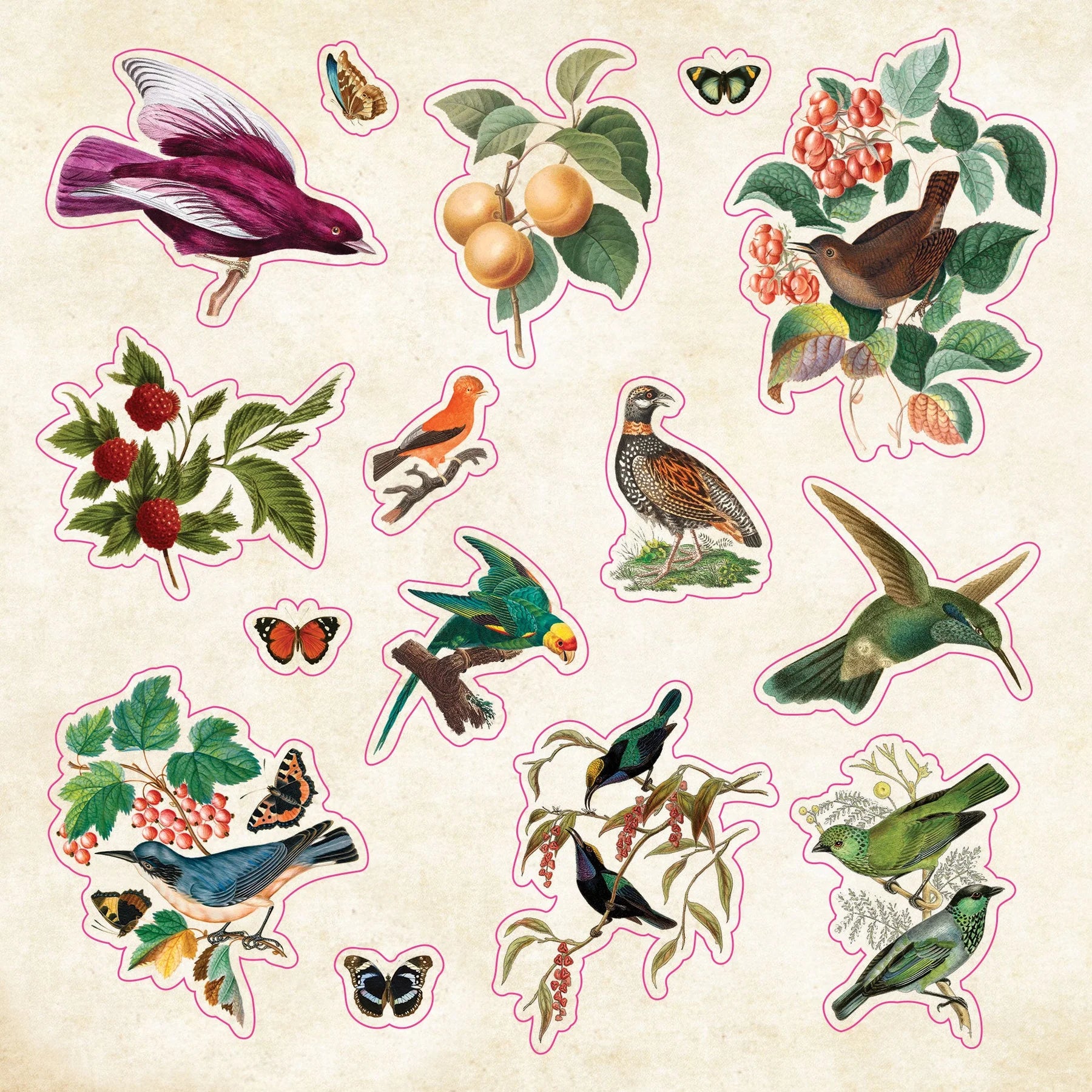 The Sticker Book of Curiosities - An Eclectic Compendium of Vintage Stickers
