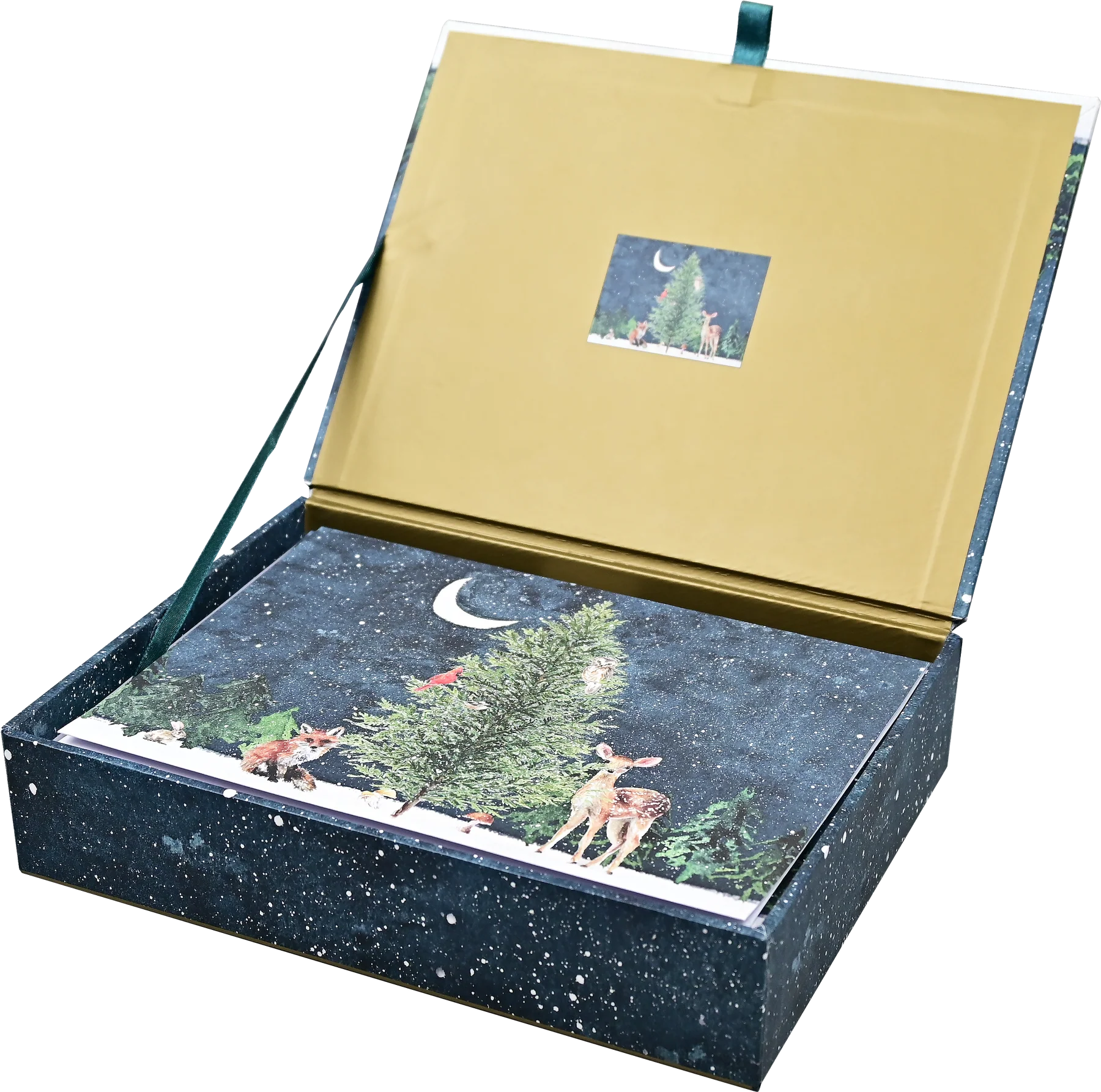 Moonlit Forest Friends Deluxe Boxed Holiday Cards