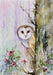 Woodland Owl Boxed Holiday Cards