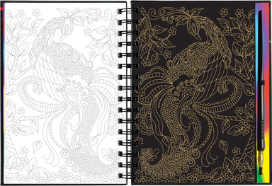 Extreme! The World of Birds Scratch and Sketch