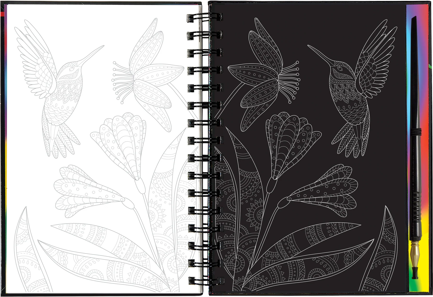 Extreme! The World of Birds Scratch and Sketch