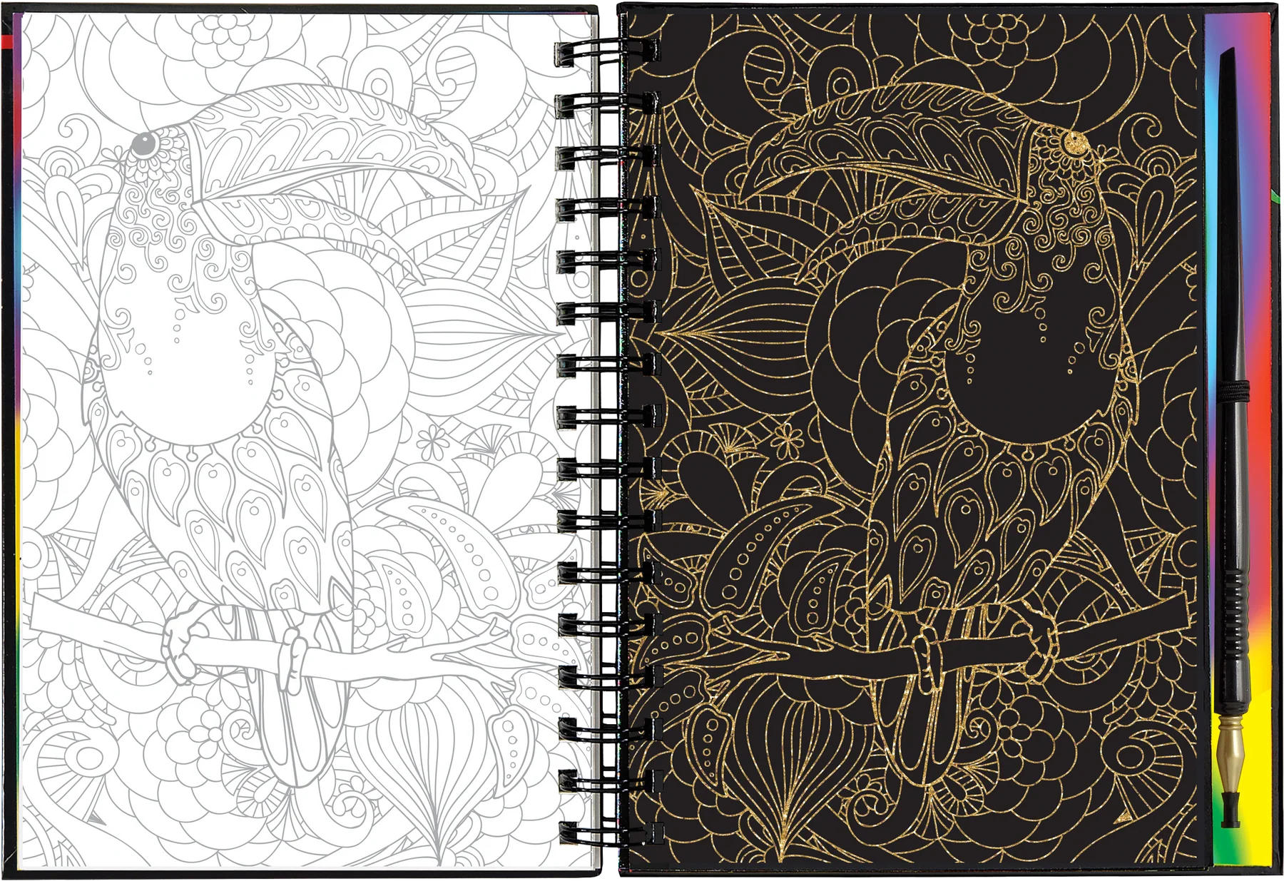 Extreme! The World of Birds Scratch and Sketch