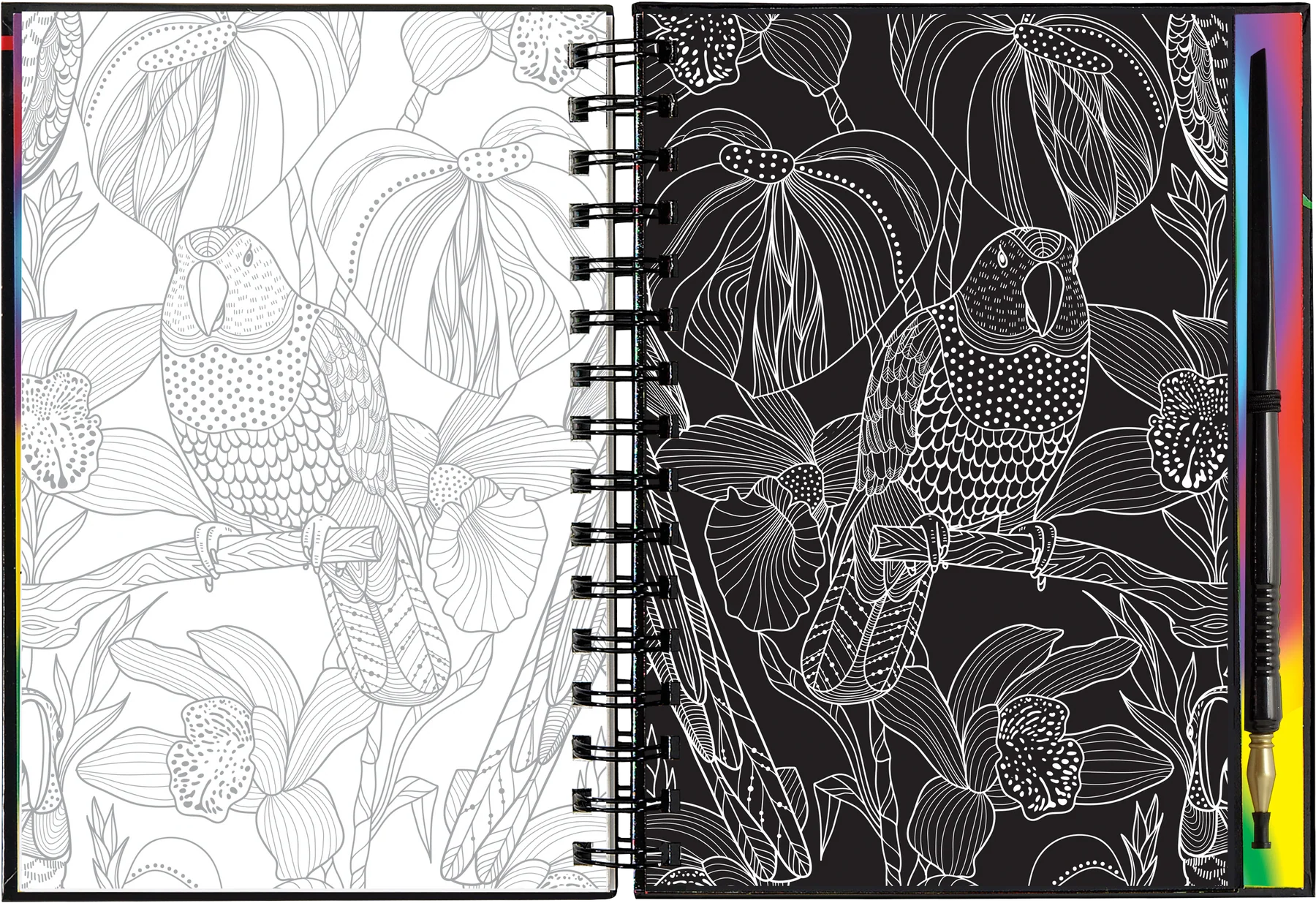 Extreme! The World of Birds Scratch and Sketch