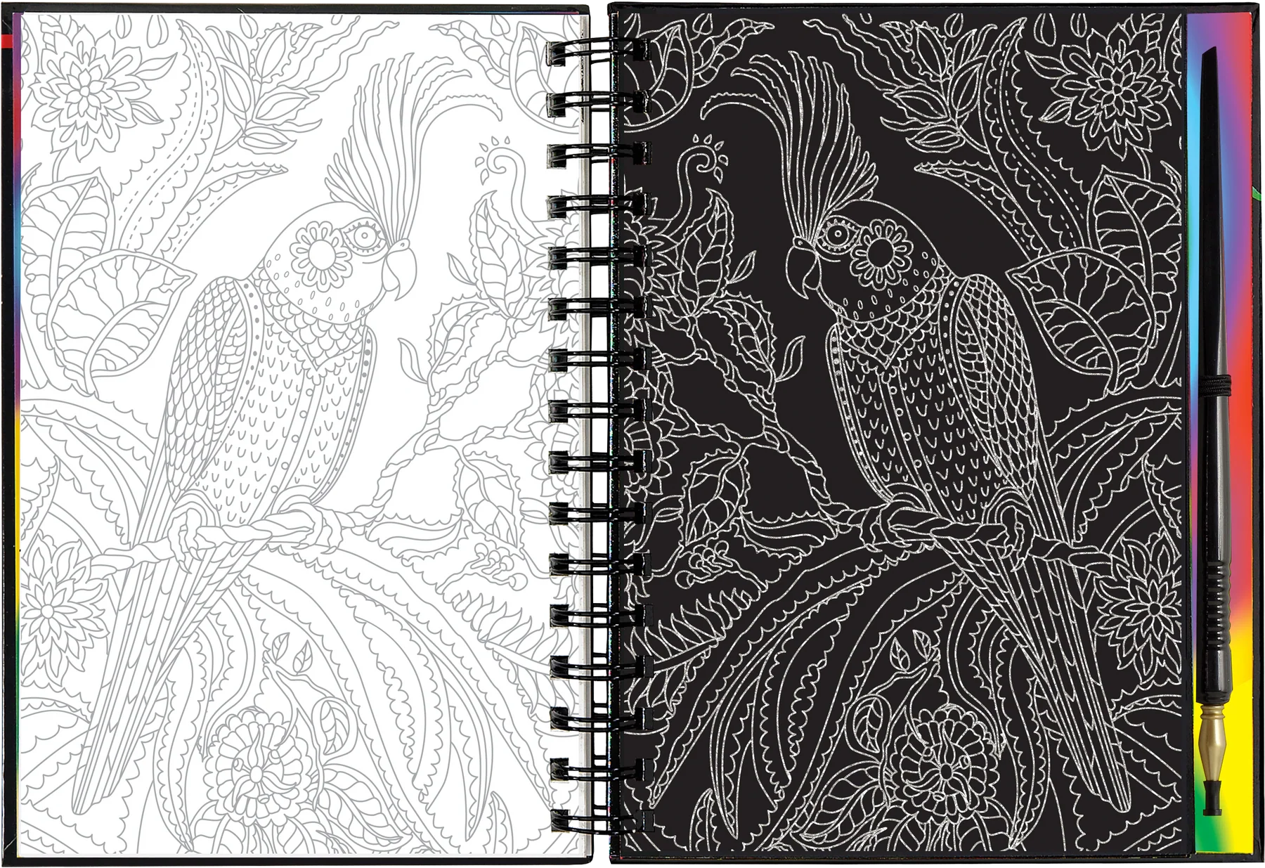 Extreme! The World of Birds Scratch and Sketch