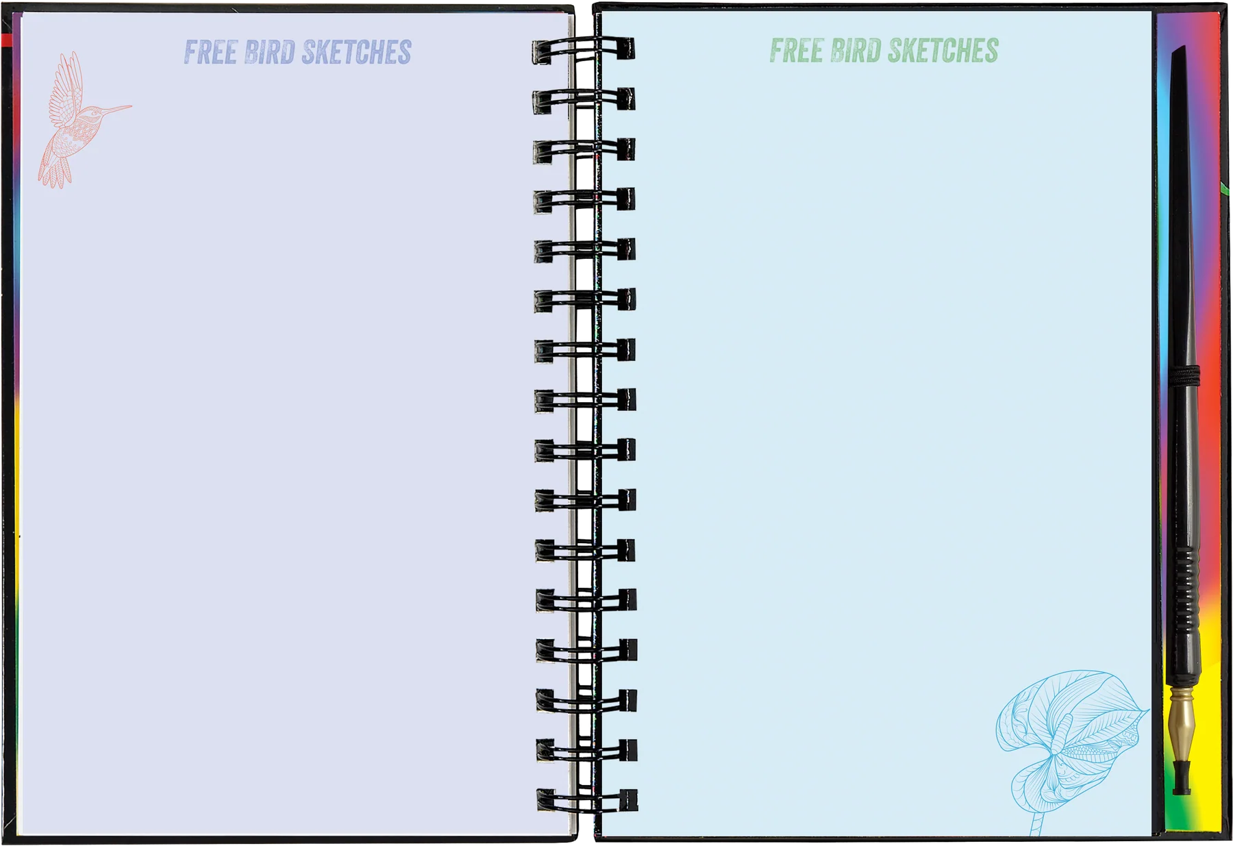 Extreme! The World of Birds Scratch and Sketch