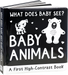 What Does Baby See? Baby Animals - A First High Contrast Book