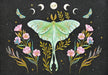 Luna Moth Boxed Note Cards