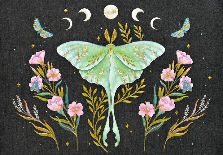 Luna Moth Boxed Note Cards