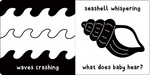 What Does Baby See? At The Sea - A First High Contrast Book