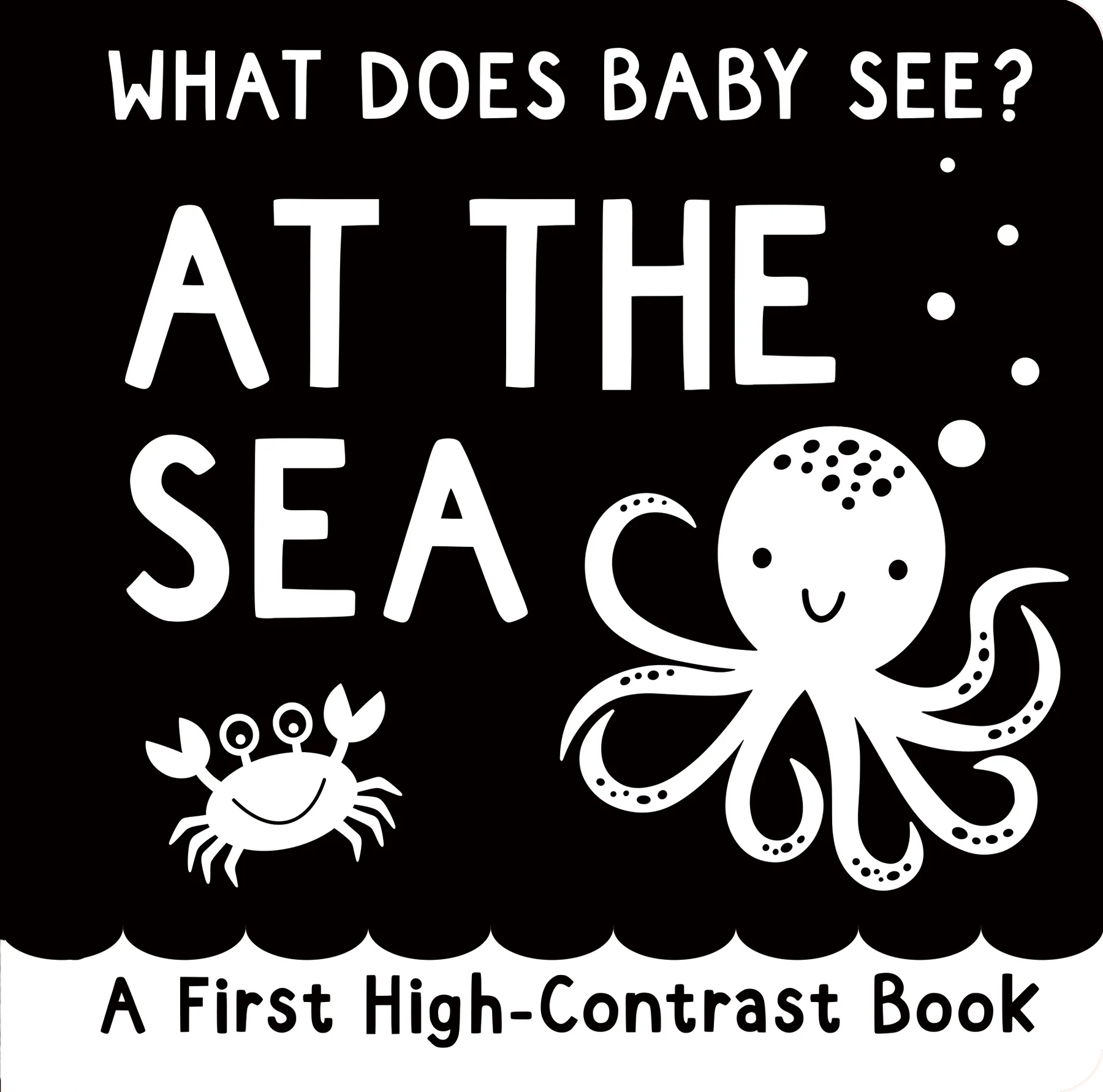 What Does Baby See? At The Sea - A First High Contrast Book