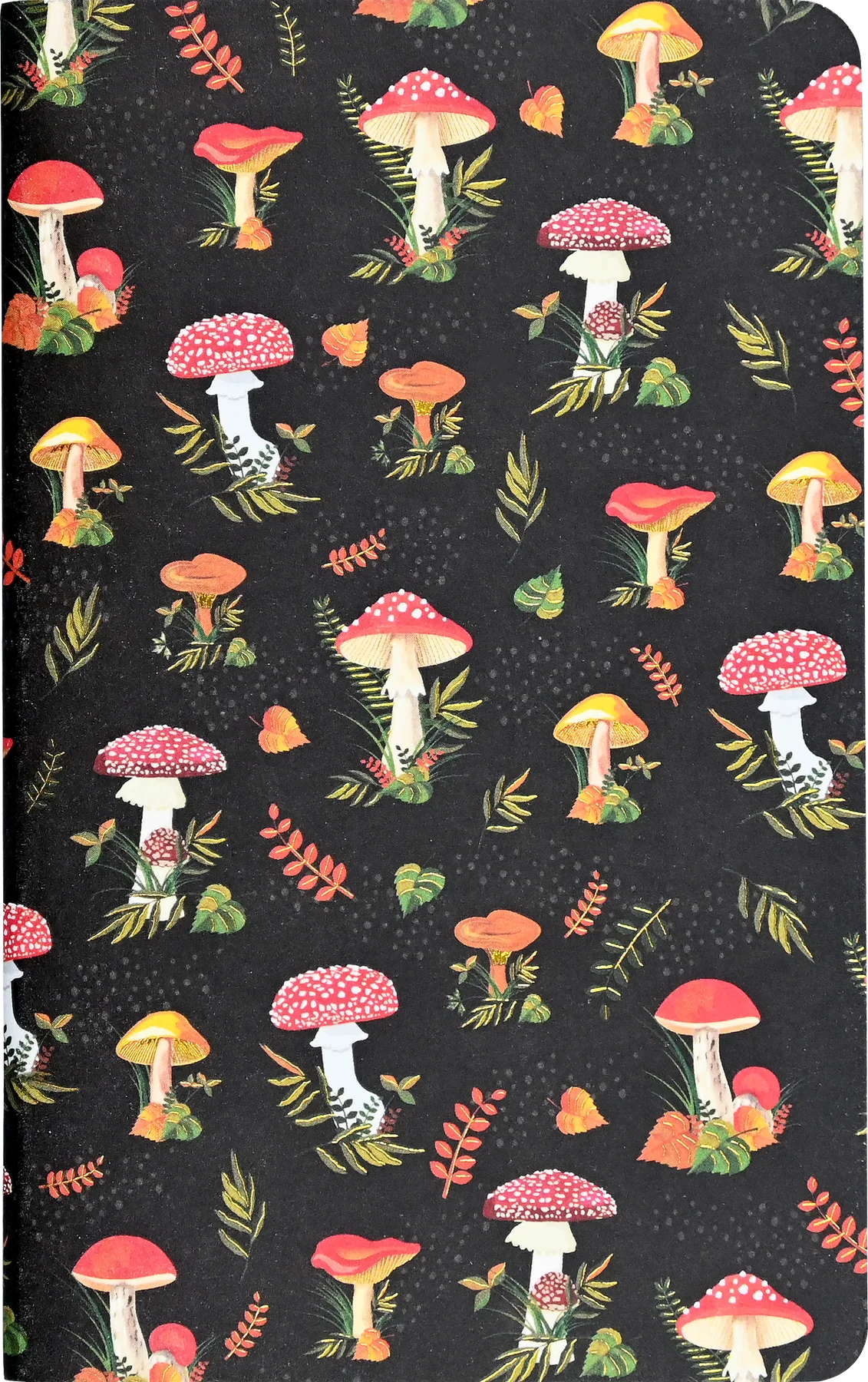 Mushrooms Jotter Journals - Set of 3 Little Notebooks