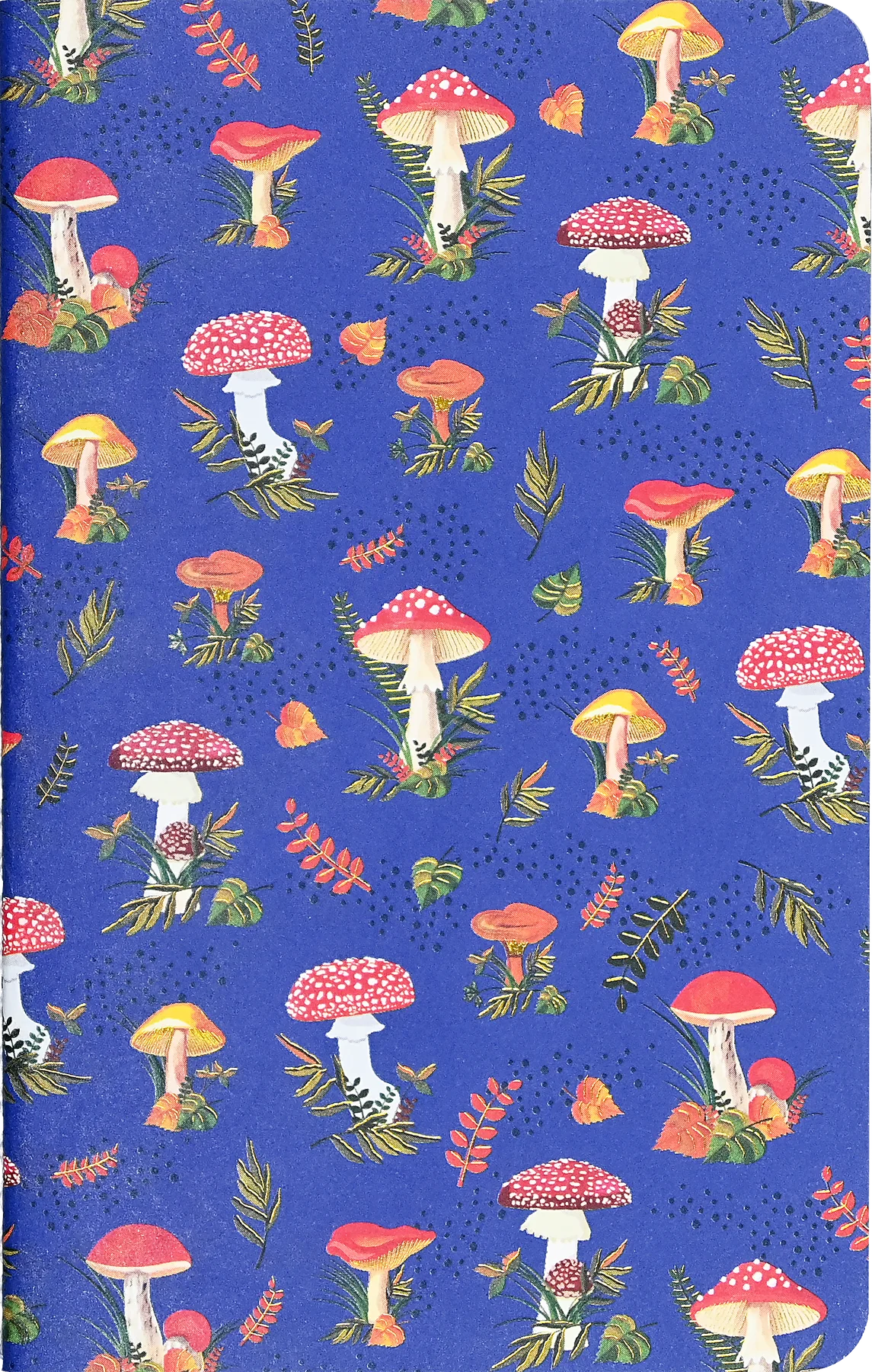Mushrooms Jotter Journals - Set of 3 Little Notebooks