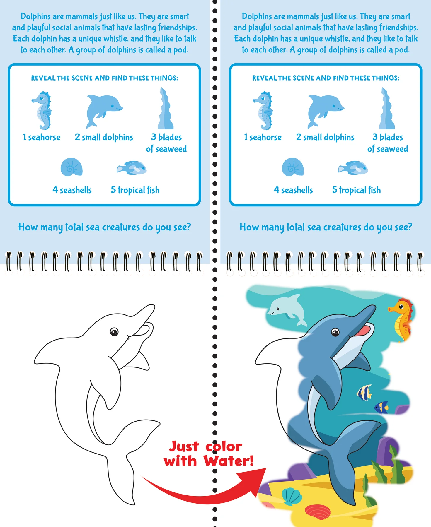 Color With Water Under The Sea