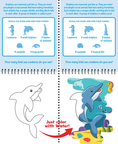 Color With Water Under The Sea