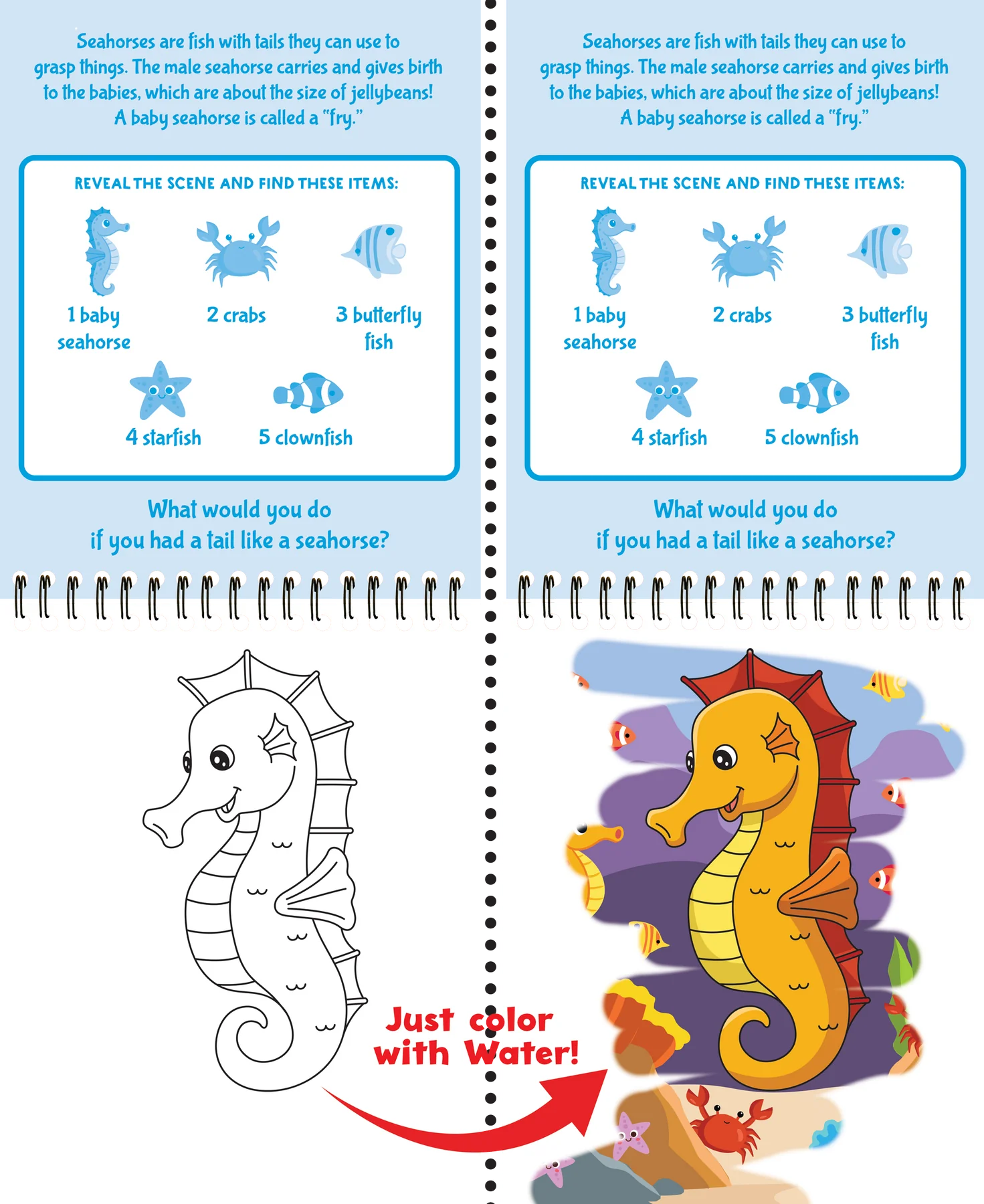 Color With Water Under The Sea