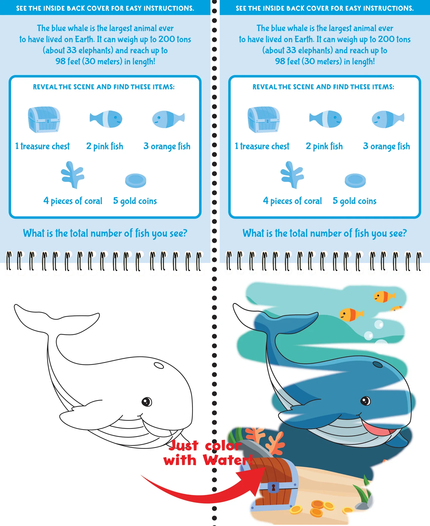 Color With Water Under The Sea