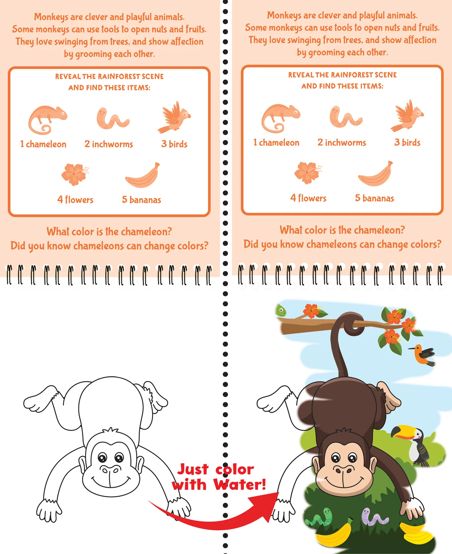 Color With Water Wild Animals