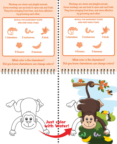 Color With Water Wild Animals