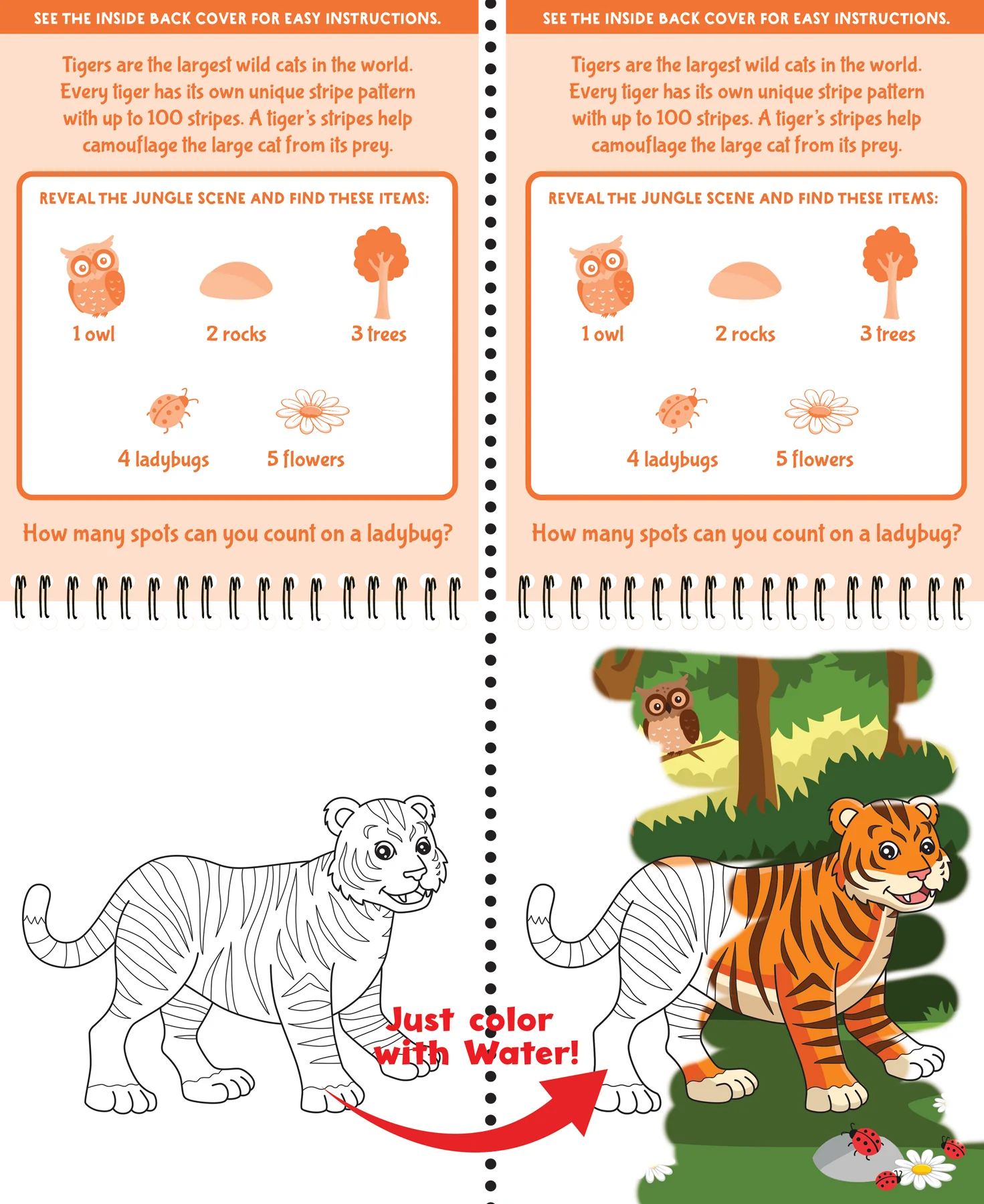 Color With Water Wild Animals