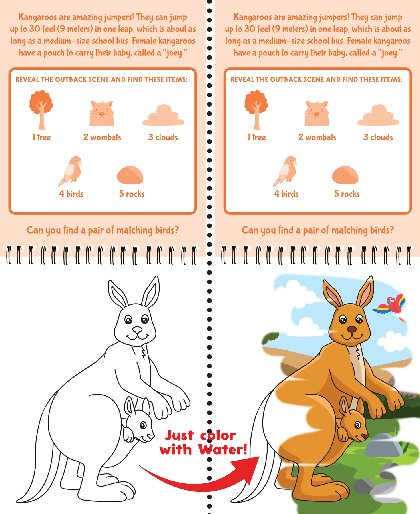 Color With Water Wild Animals