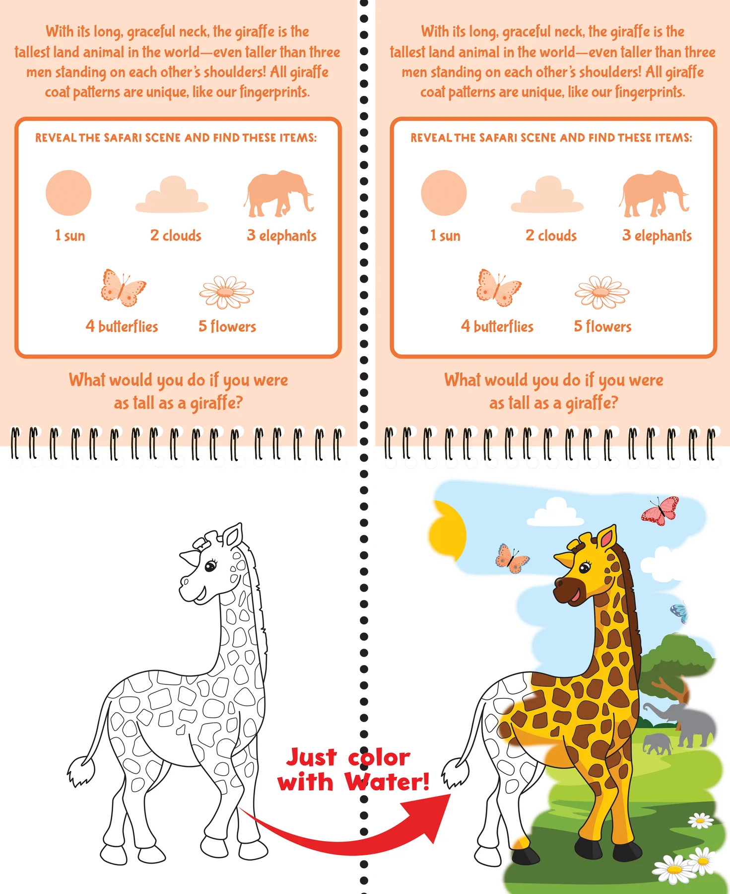 Color With Water Wild Animals