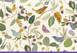 Birds and Berries Boxed Note Cards
