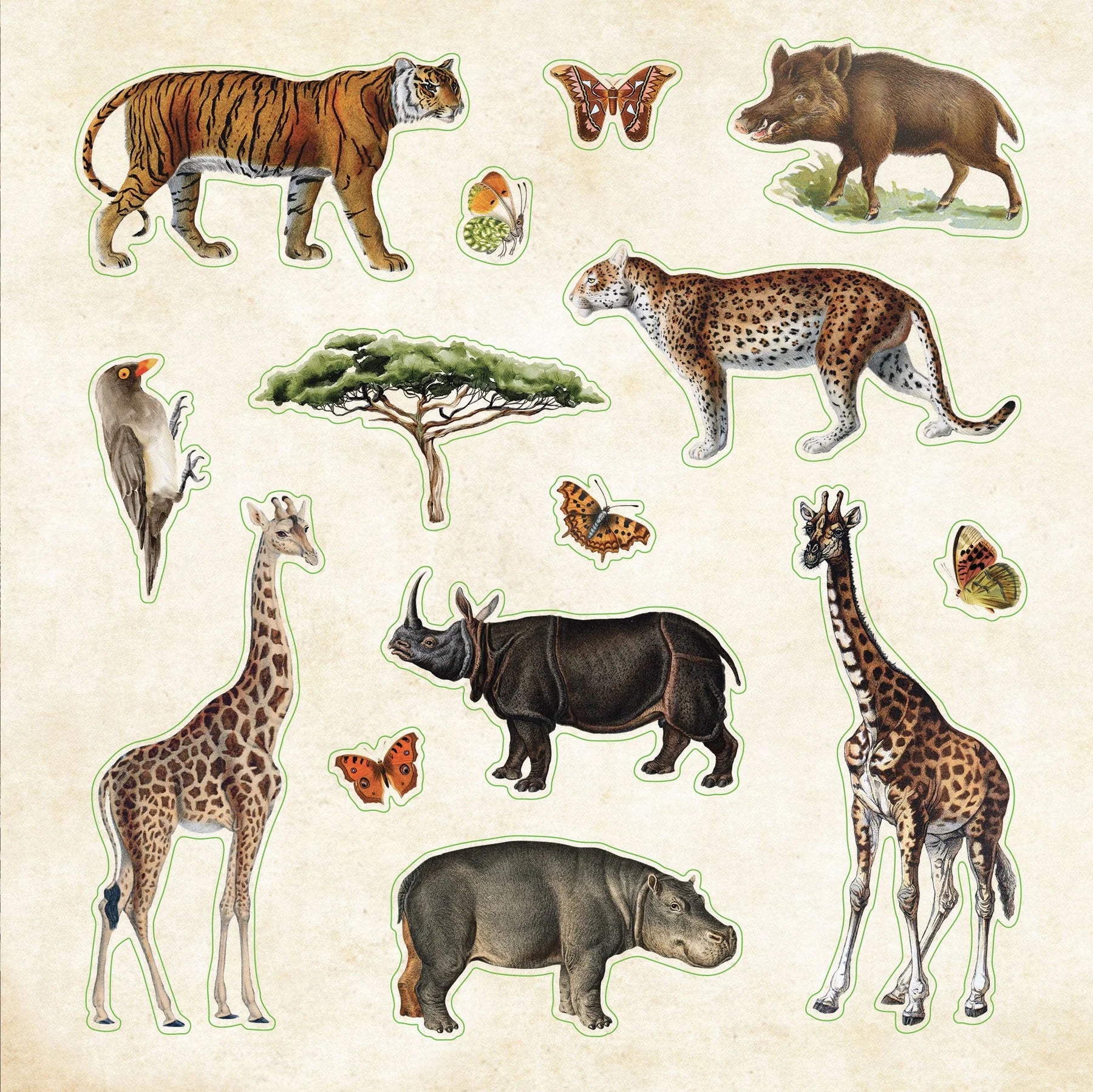 Zoological Ephemera - A Naturalist's Extraordinary Sticker Book