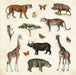 Zoological Ephemera - A Naturalist's Extraordinary Sticker Book
