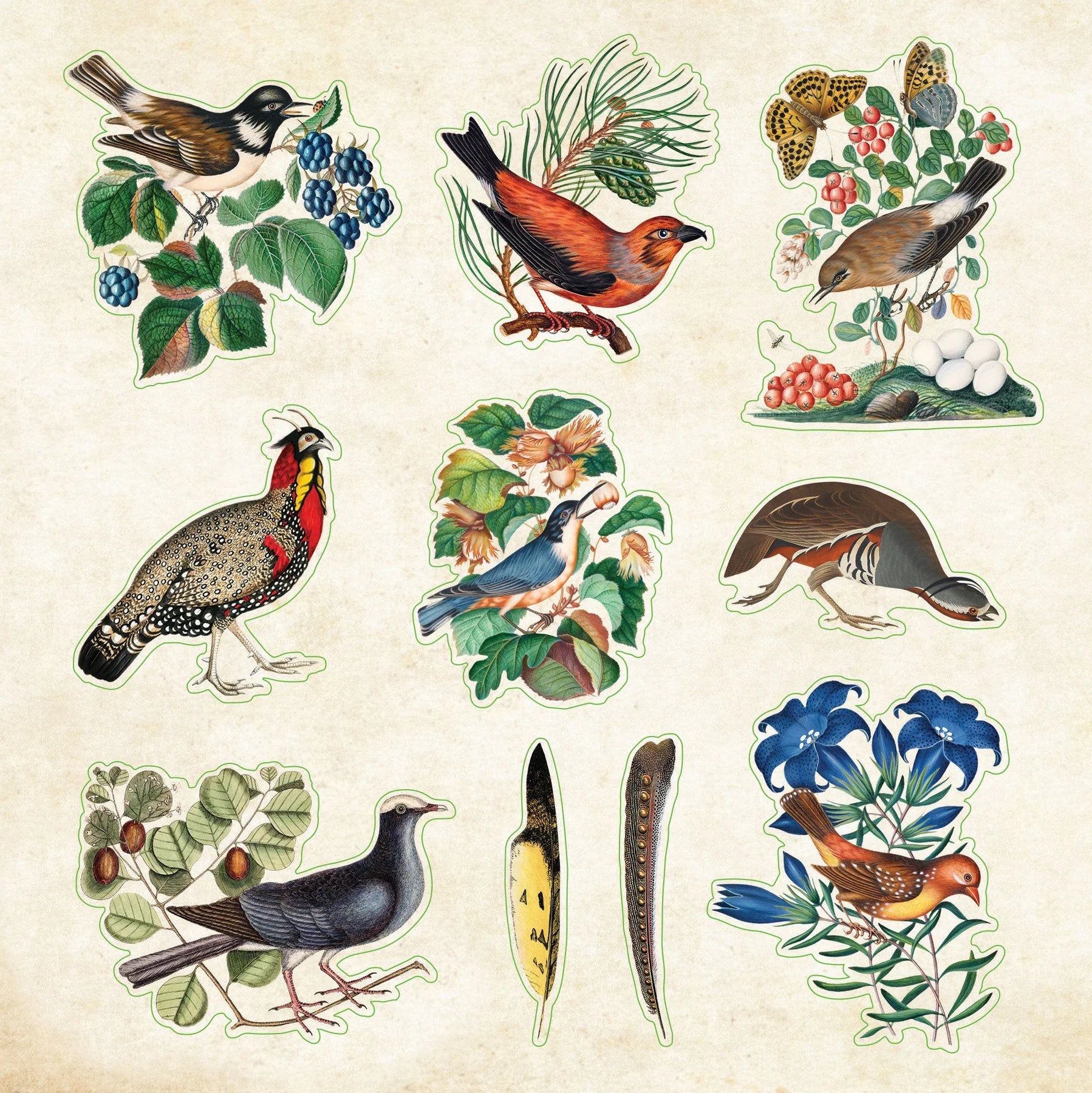 Zoological Ephemera - A Naturalist's Extraordinary Sticker Book