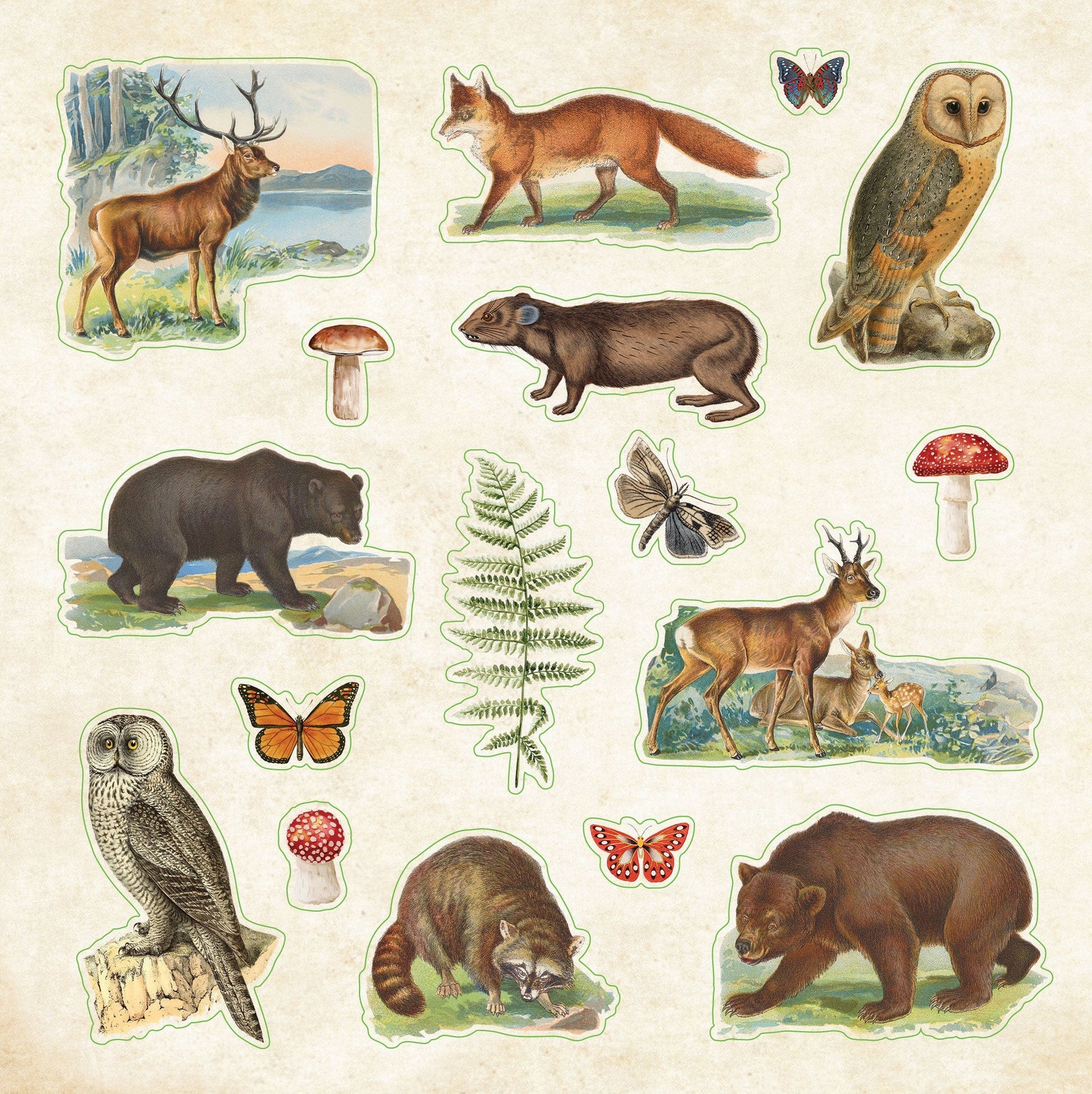 Zoological Ephemera - A Naturalist's Extraordinary Sticker Book